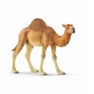 Schleich Dromedary 14832