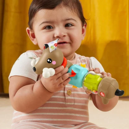 Fisher-Price Click & Spin Aktivointilelu - Image 4
